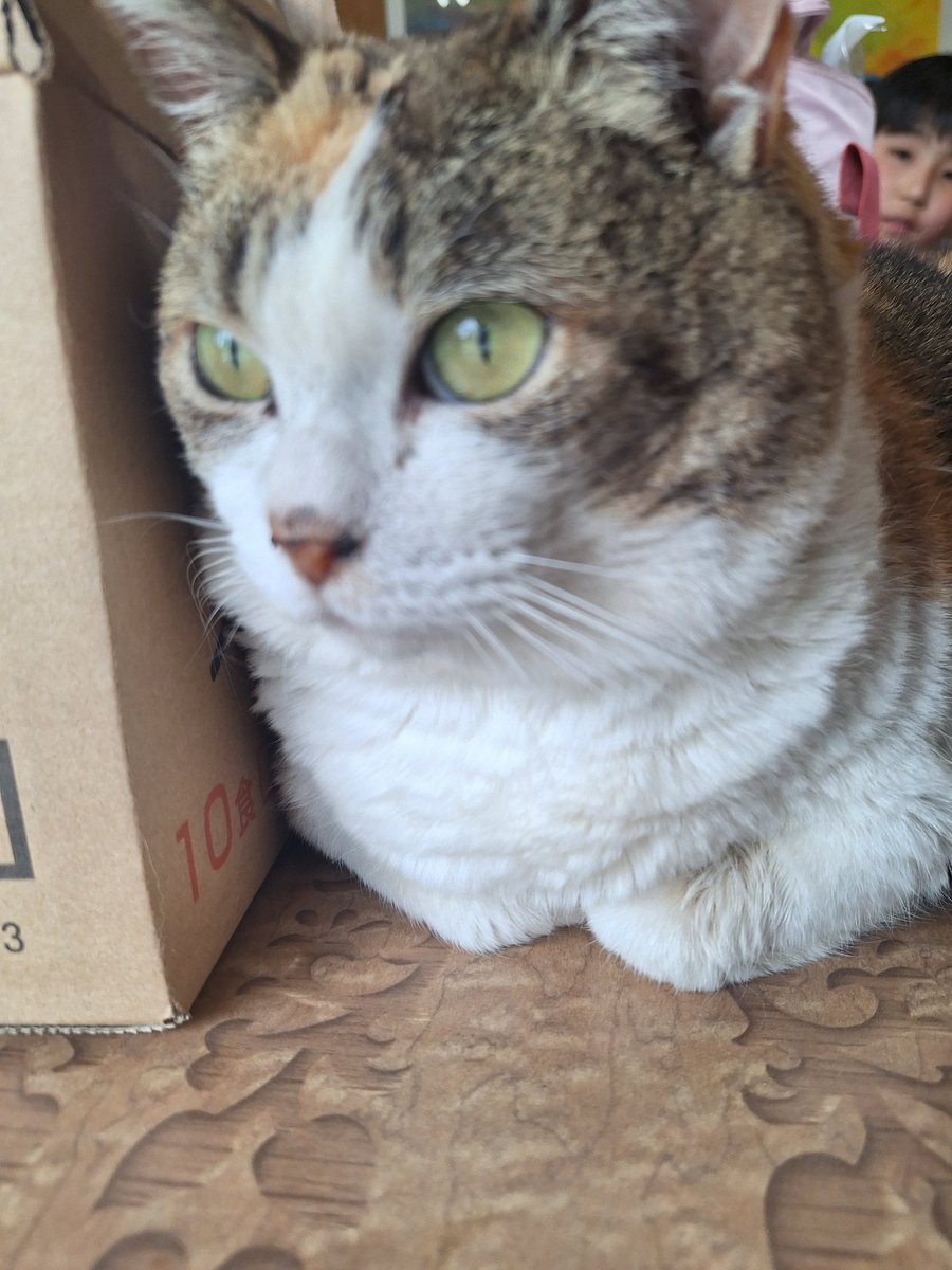 ヴェイト🌾👻 tweet media