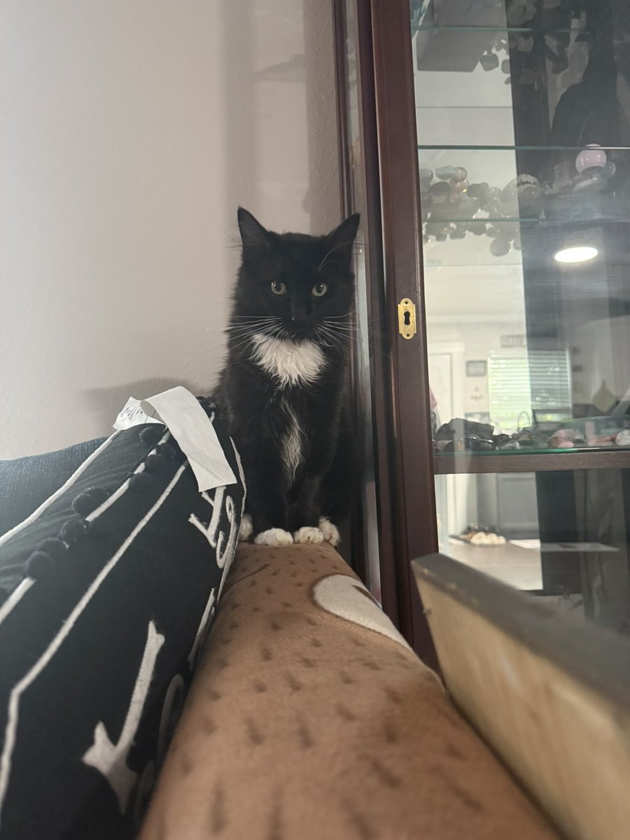 ✭ ✭ allie ✭ ✭ tweet media