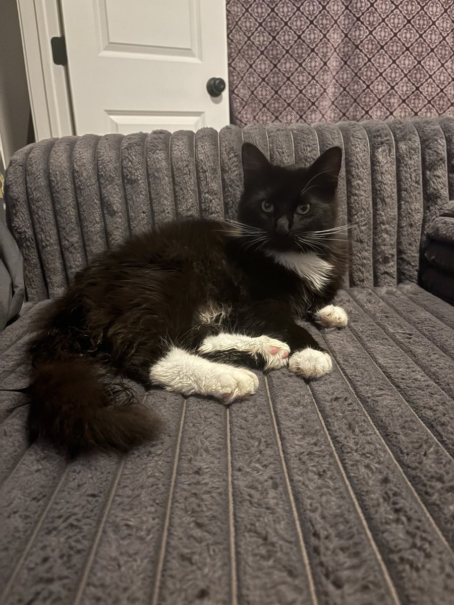 ✭ ✭ allie ✭ ✭ tweet media