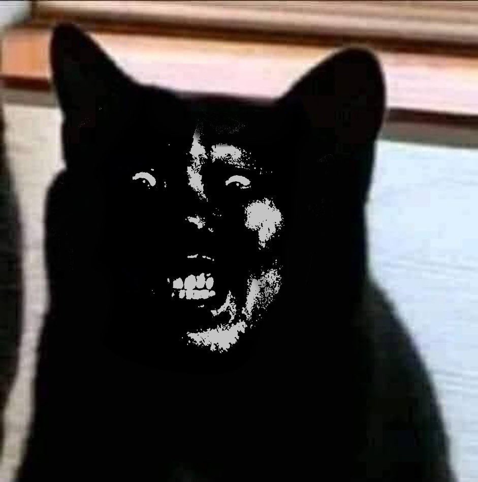 ドブカスはなこ tweet media