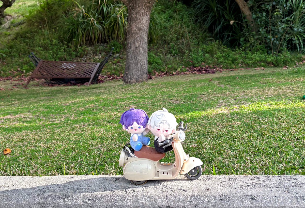 ふわふわのほむぬい tweet media