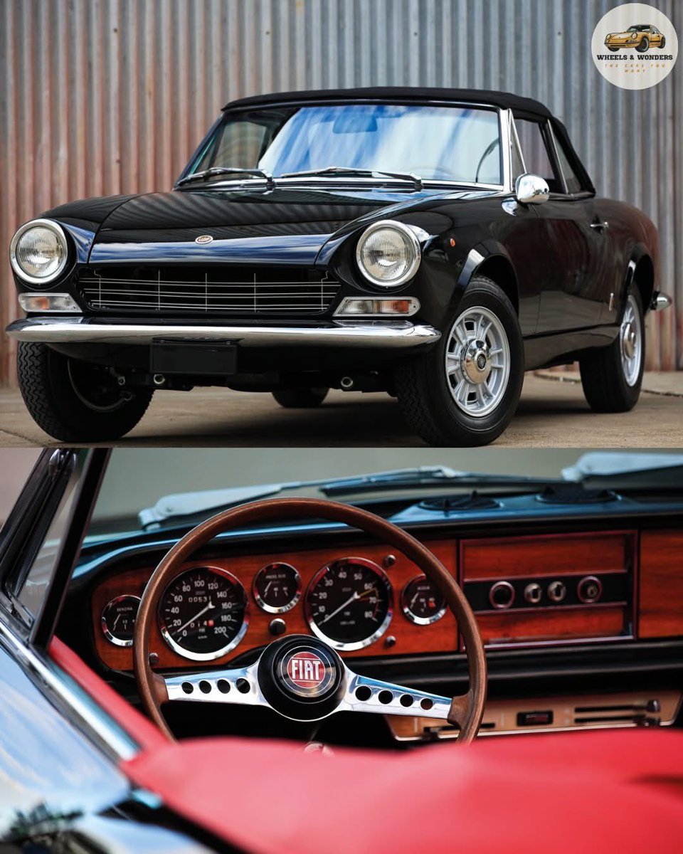 L’Oasi di Salvo tweet media