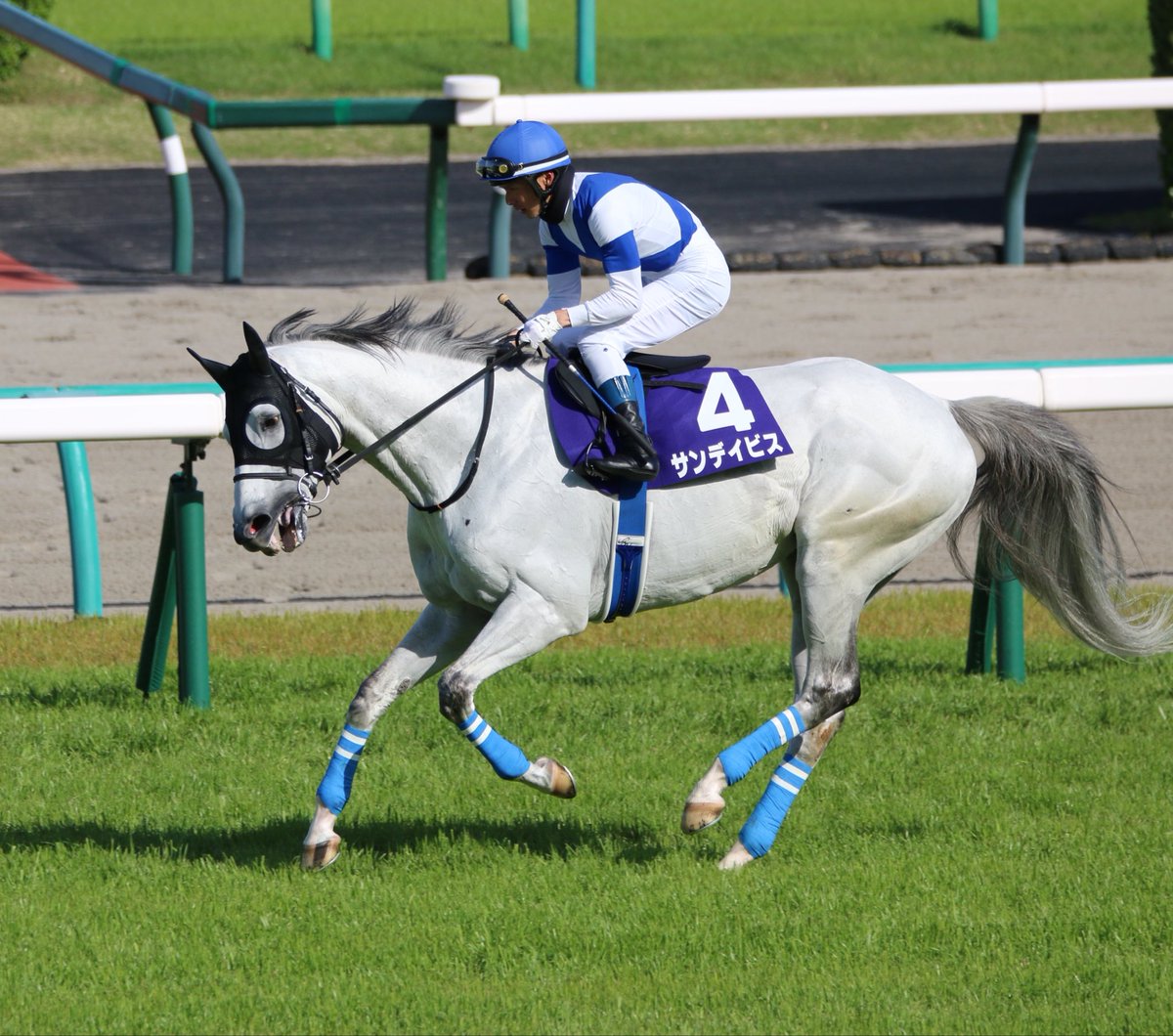 エプソムゆま🏇ダート愛が重馬場🏆🥇 tweet media