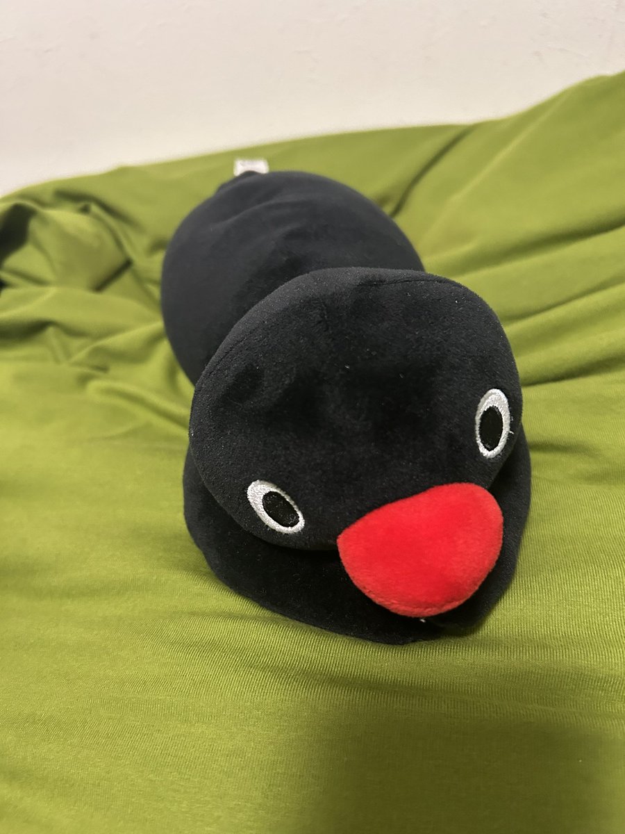 plrorlnn's tweet photo. ピングーもらった！
めっちゃかわいいでしょ https://t.co/RFhOkL8FB8