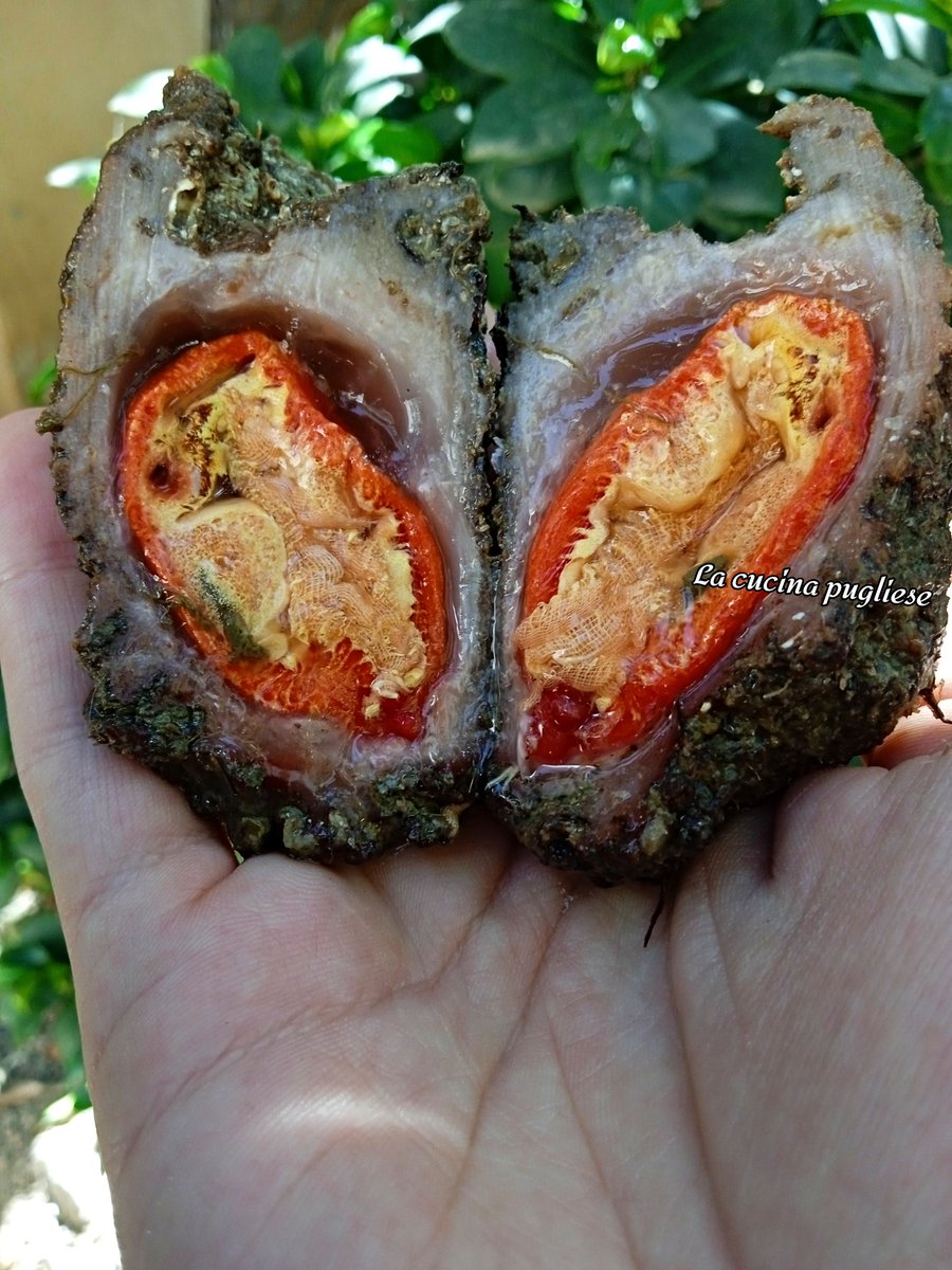 Cucinapugliese's tweet image. 🌹TARATUFFI DI MARE🌹
In base alle località sono conosciuti anche come taratufi, uova di mare (termine dato dal loro tipico odore di zolfo), limone di mare.
Per saperne di più, vi lascio il link dell'articolo:
👉 lacucinapugliese.org/taratuffi-di-m…

#18aprile2026 #puglia #food #cucina #italy