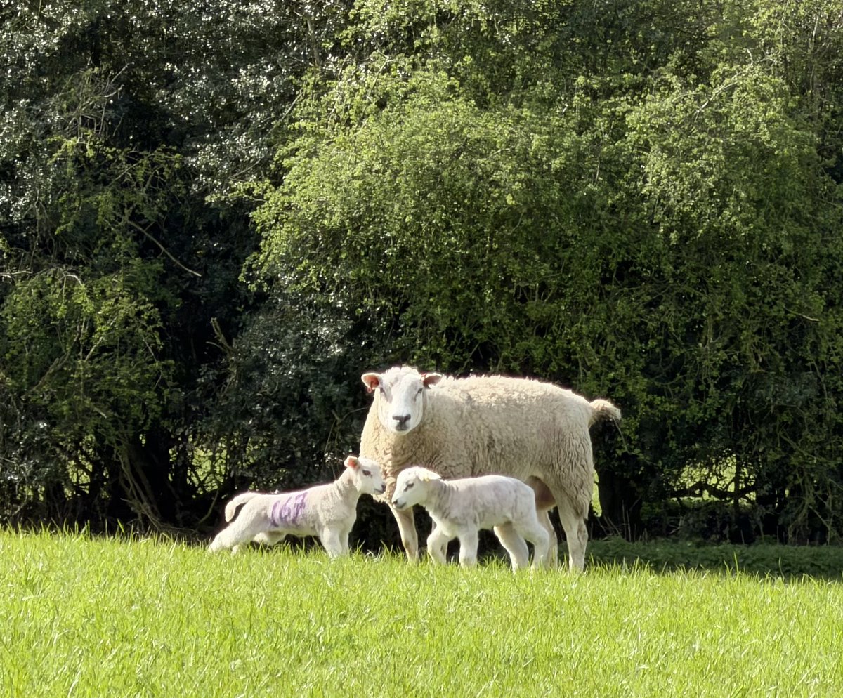 Tim Benson tweet media