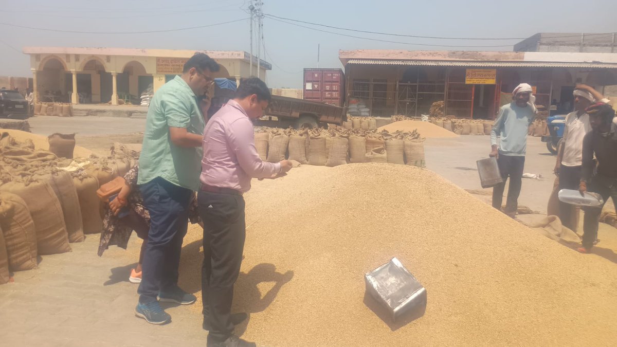 AligarhDo's tweet image. Inspection at Mandi Gabana by Assistant Director Department of Food and Public Distribution (DFPD).  #FCI
