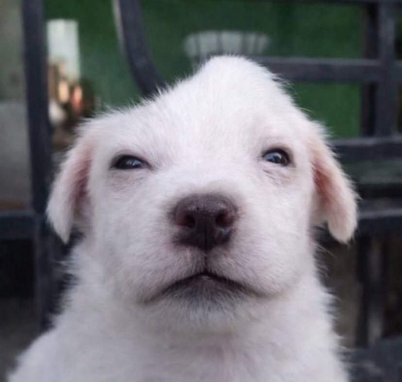 nana𓏲ּ𝄢 tweet media