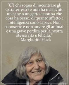 anna maria moscarell tweet media