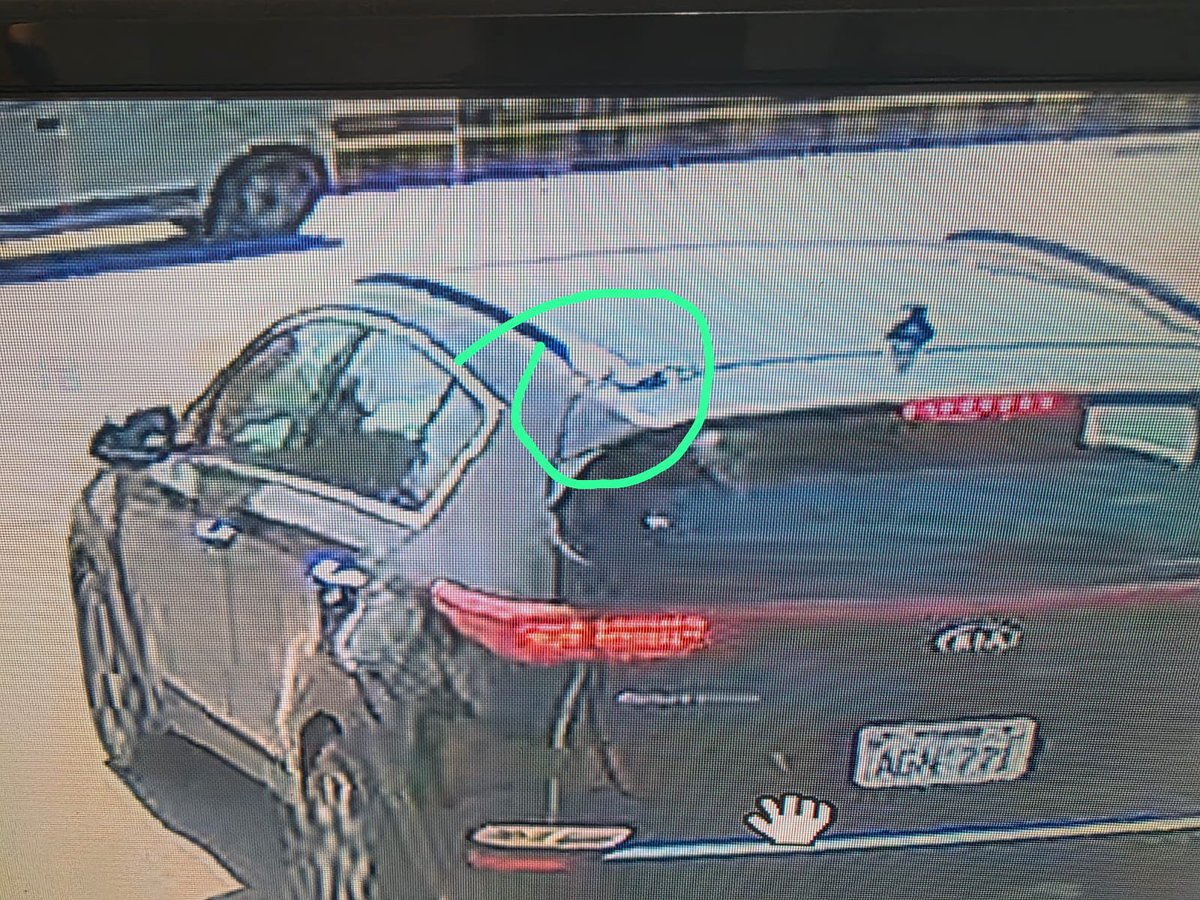 🕋مرشد 🙏پاک🇺🇸 tweet media