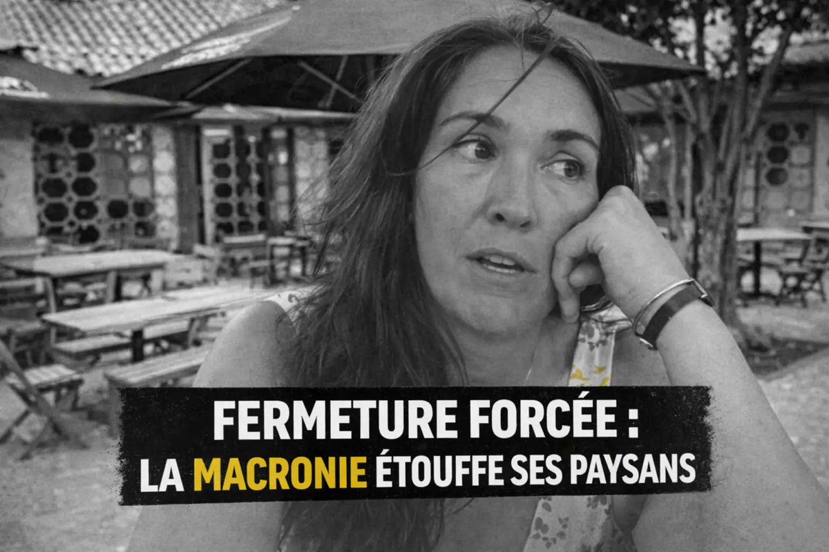 Le Média en 4⃣-4⃣-2⃣ tweet media