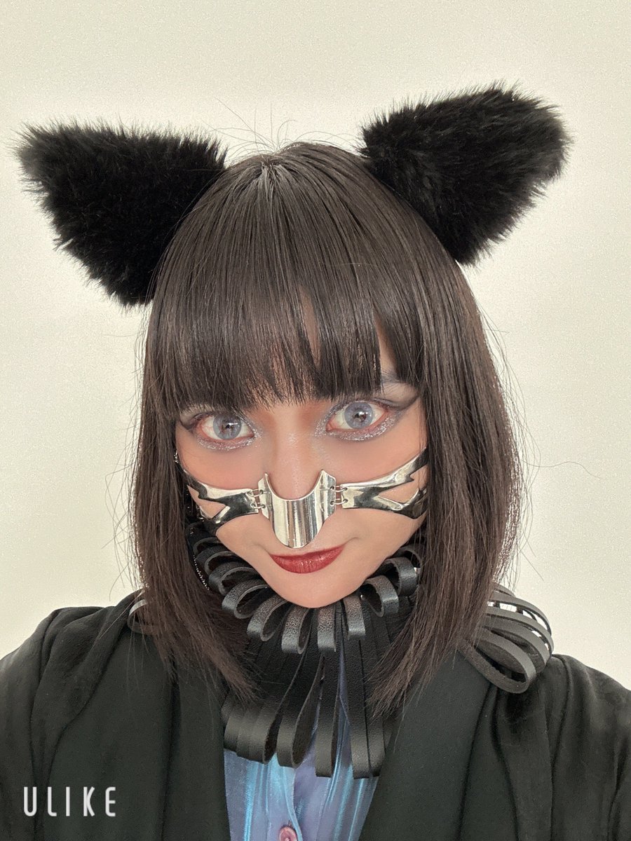 幼肴🐯とら tweet media