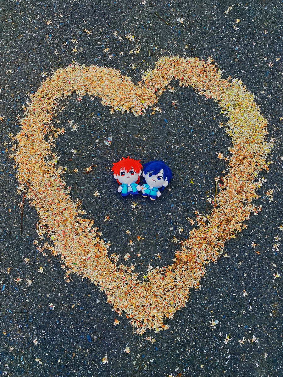 沐辰星 tweet media