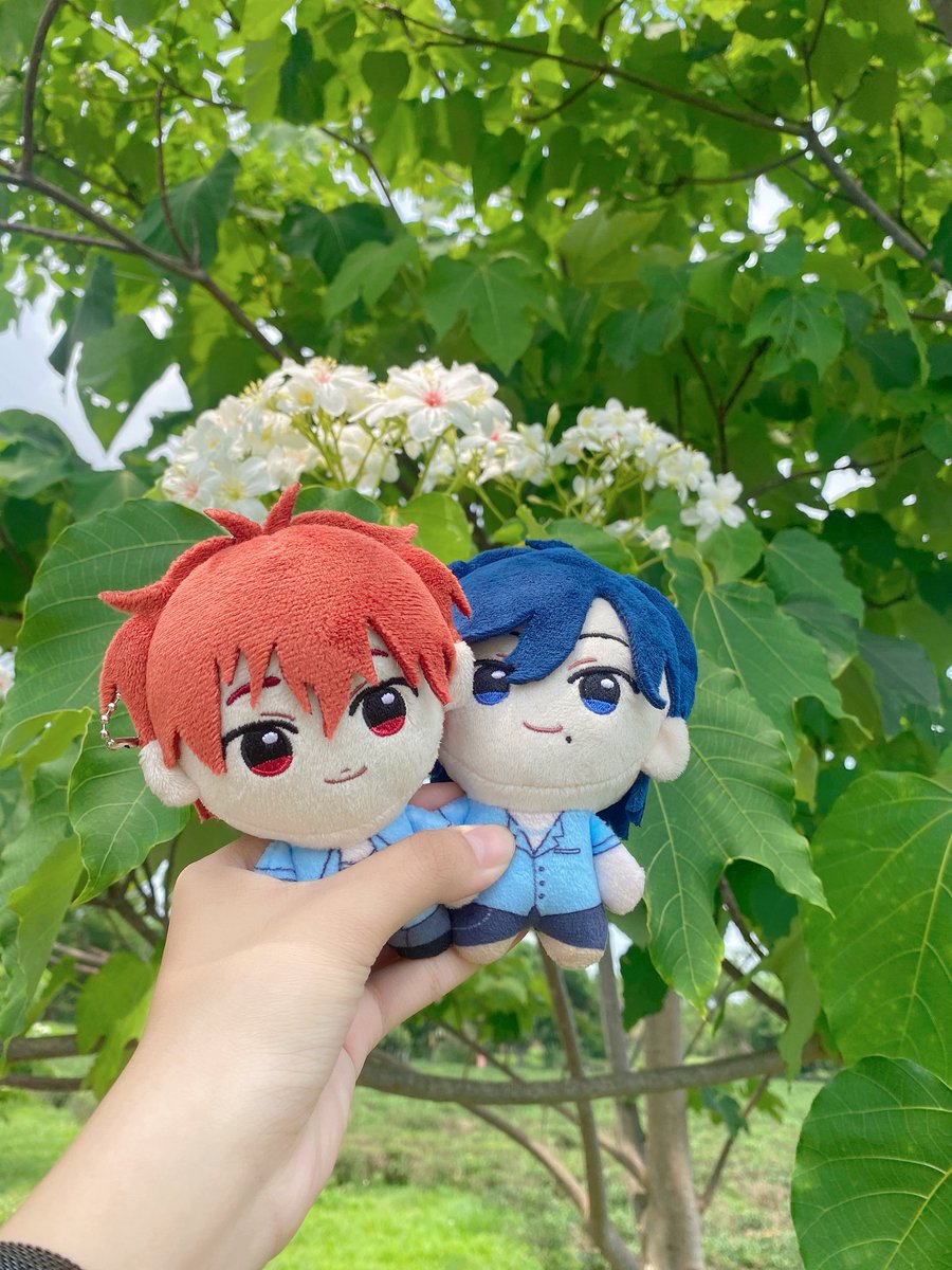 沐辰星 tweet media