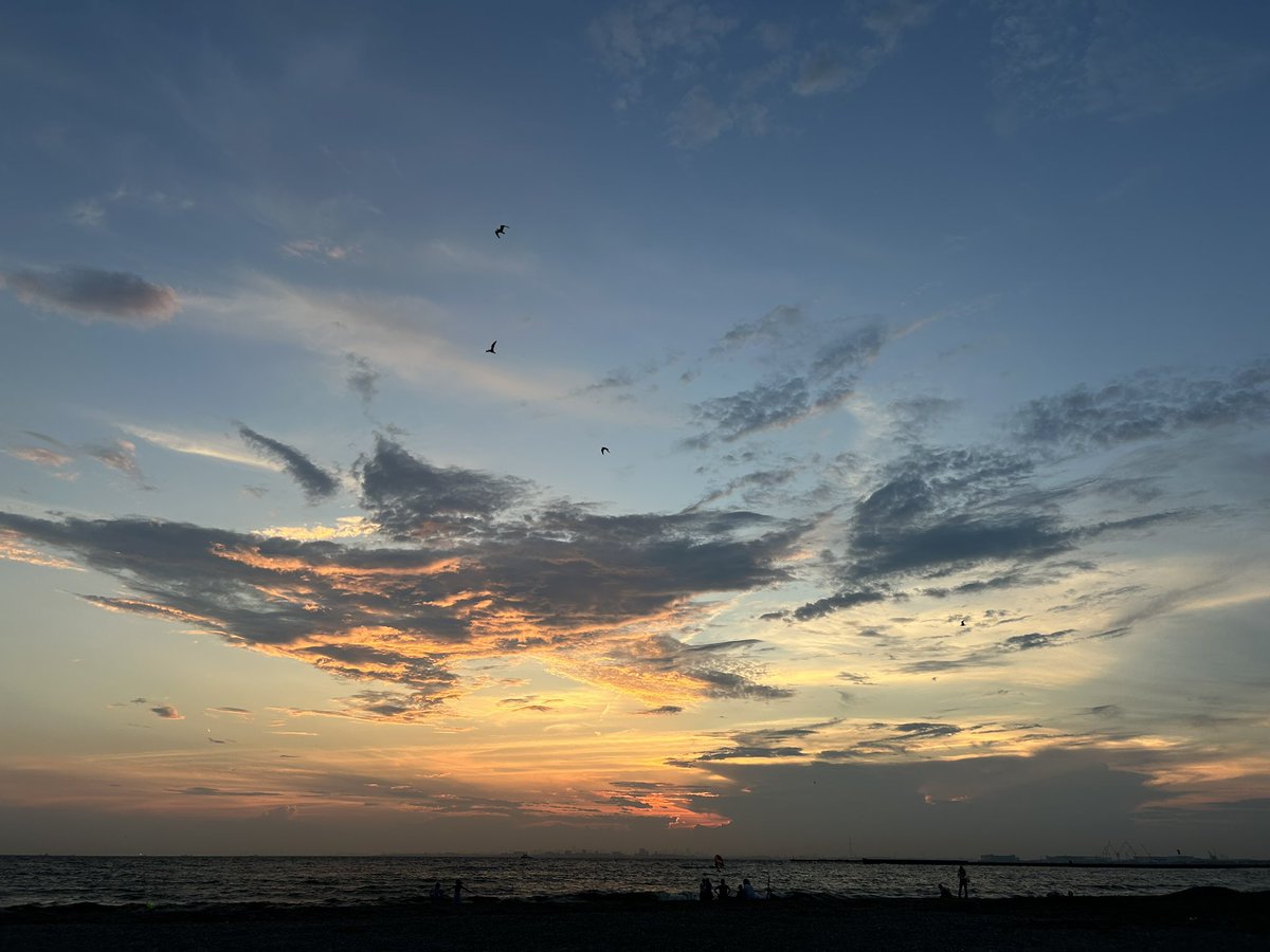 森風子 tweet media