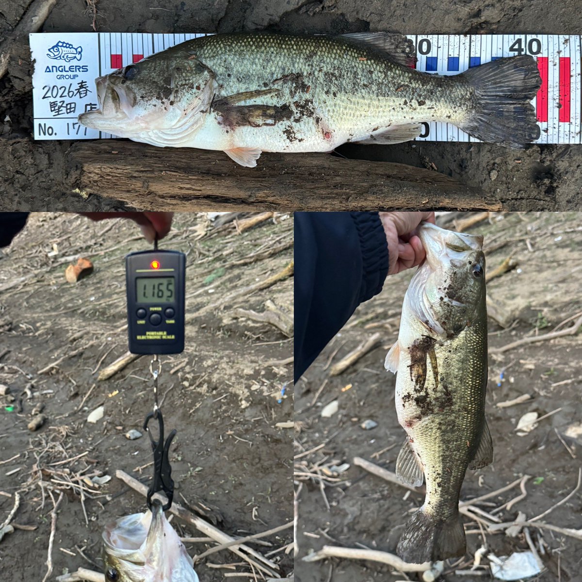 ジュースマン（潤青野） tweet media