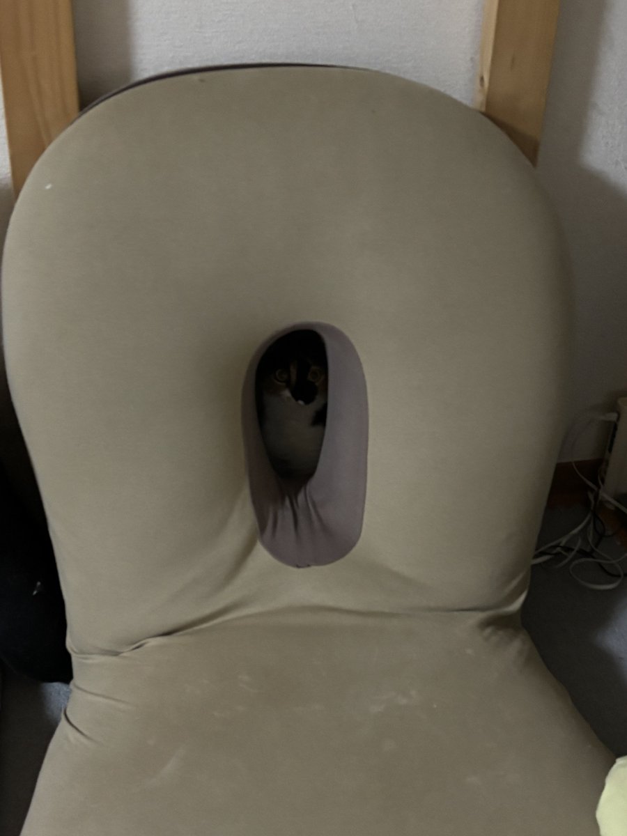 座椅子座りたい