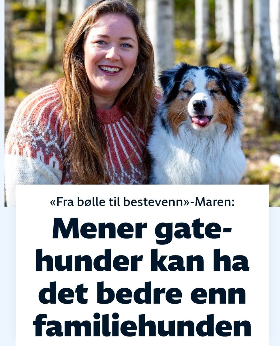 Bråstein Sneder tweet media