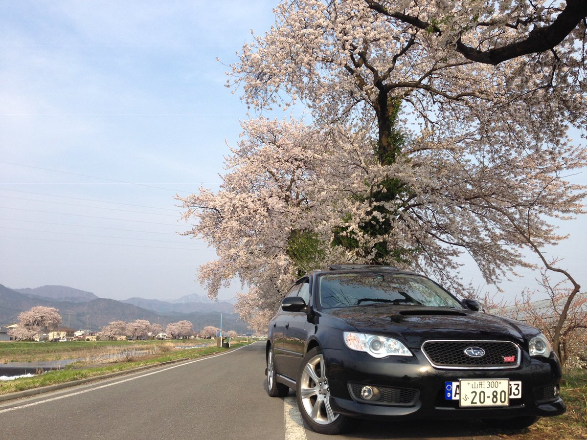26alpha_gram's tweet photo. 桜の季節はあっという間、でも新緑も楽しみ🌱
#愛車遍歴 
#アルファード #cx8 
#フォレスター #レガシィ 
#ちょっと斜め前からがカッコいい
#そしてローアングル https://t.co/tiJJAuVkGF