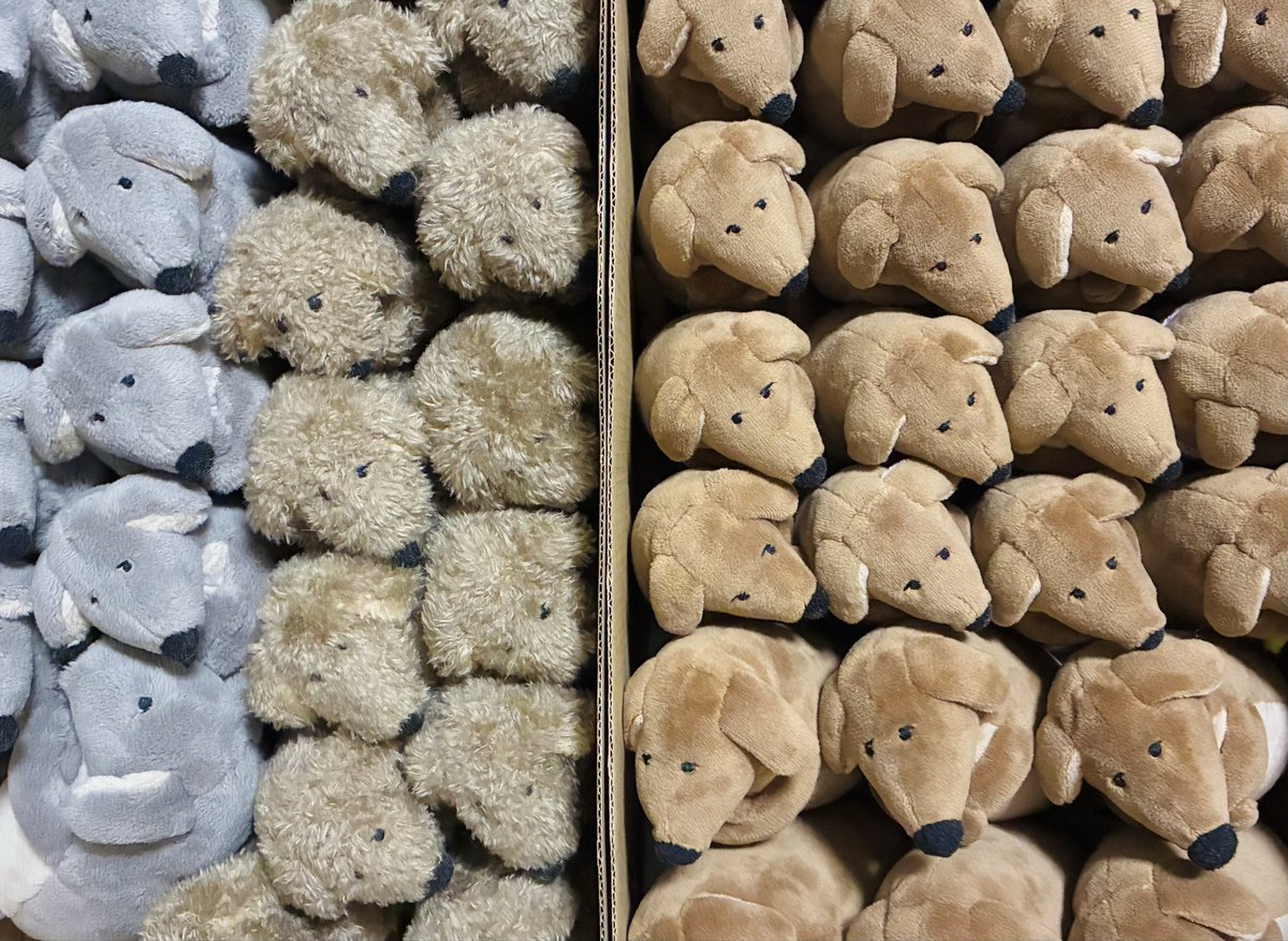 いぬ部隊 出発準備✊

明日4/19(日)に東京ドームシティで開催される東京ハンドメイドマルシェ2026春に出展します。

たくさんの方に見ていただける機会を楽しみにしております🐶
ぜひいぬたちに会いにお越しください💞