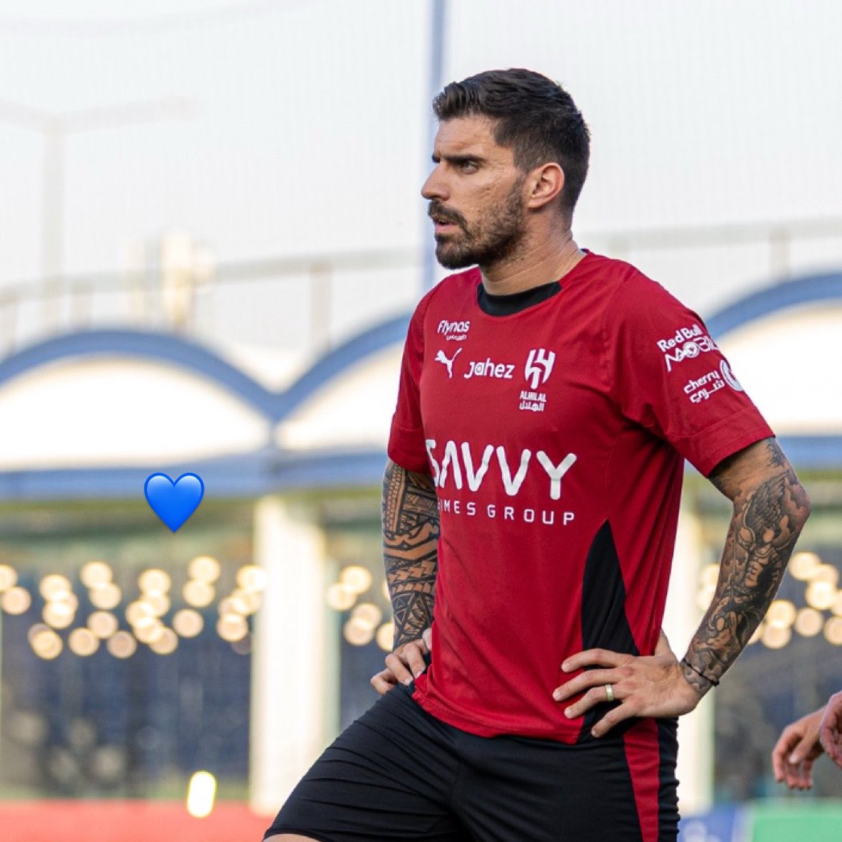 نيفيزه tweet media