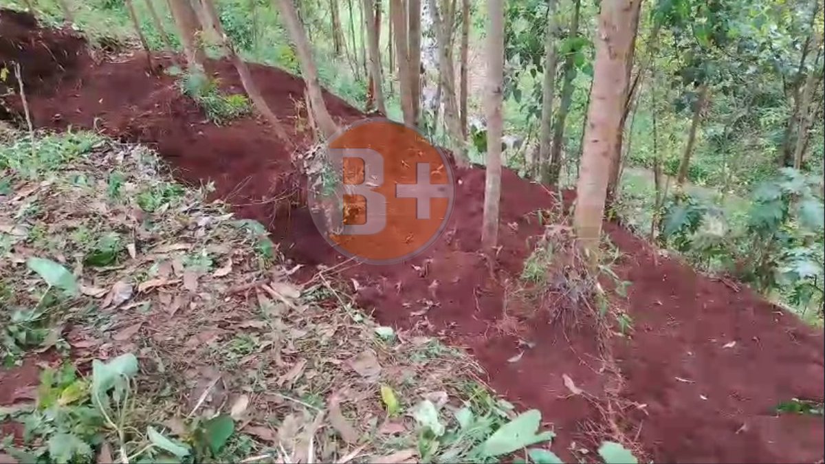 BPlus TV Rwanda tweet media