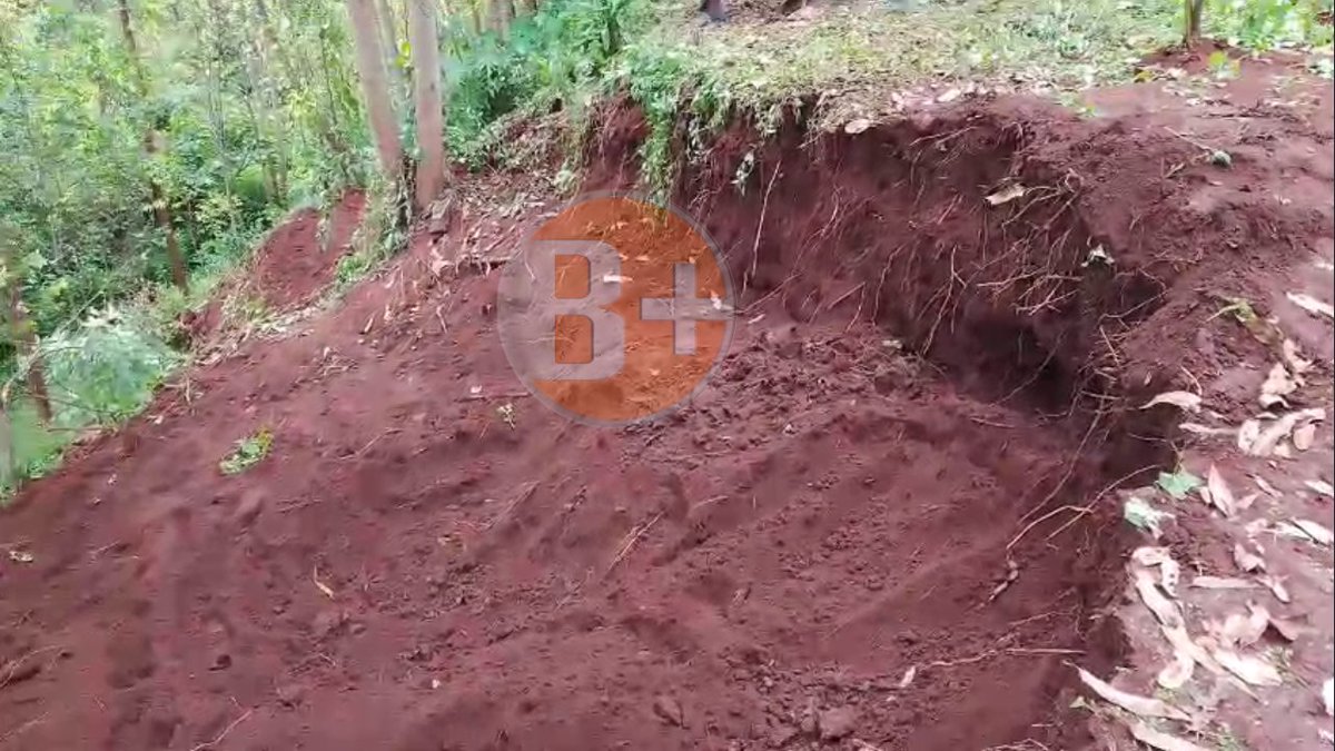 BPlus TV Rwanda tweet media