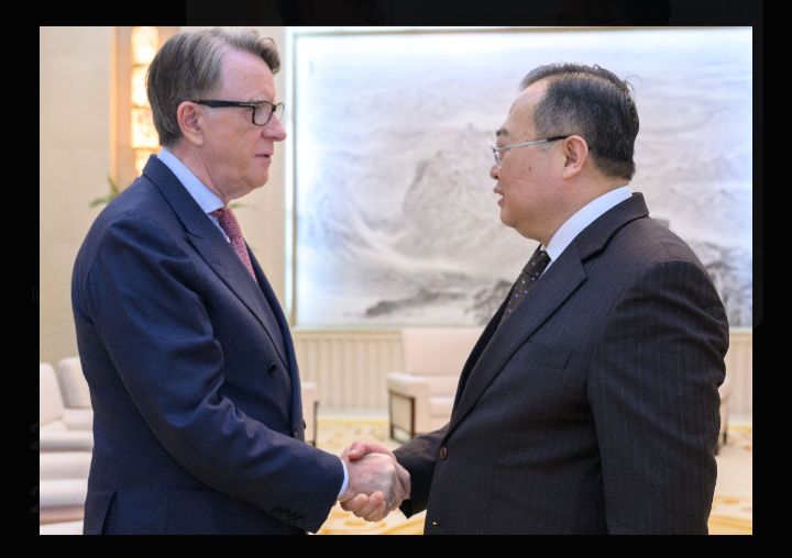 Laughing Monkey tweet media