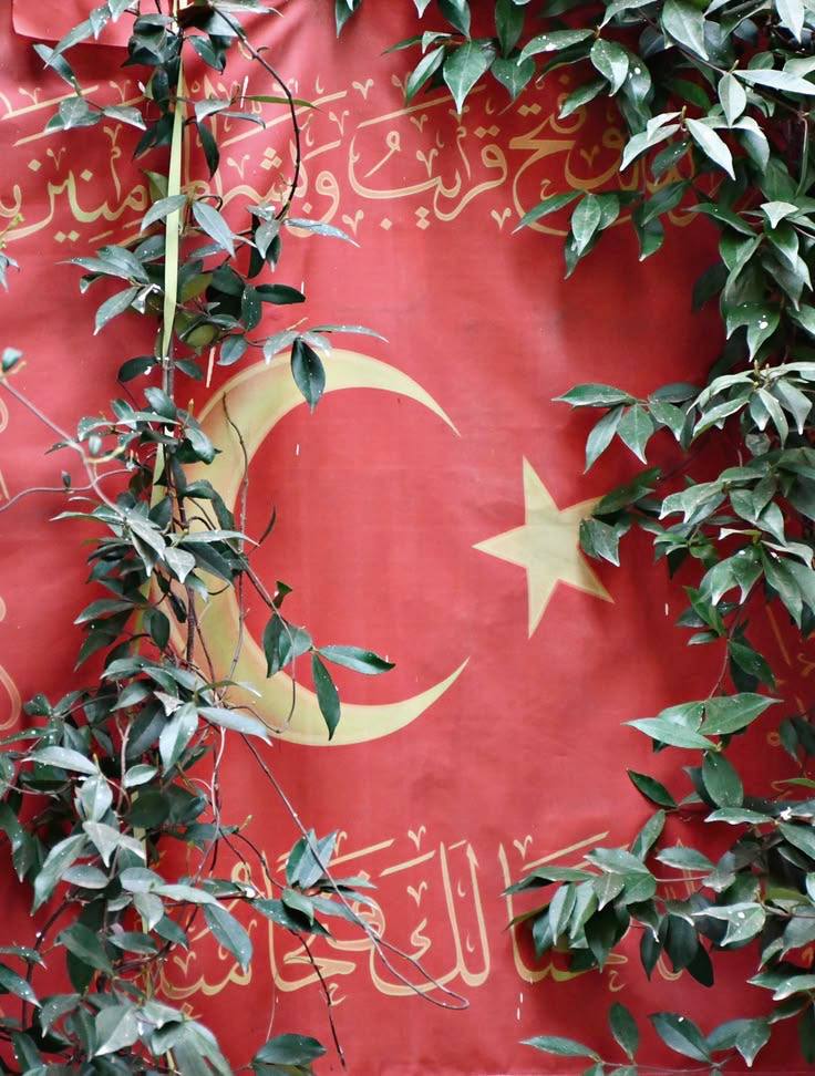 turqoisè tweet media