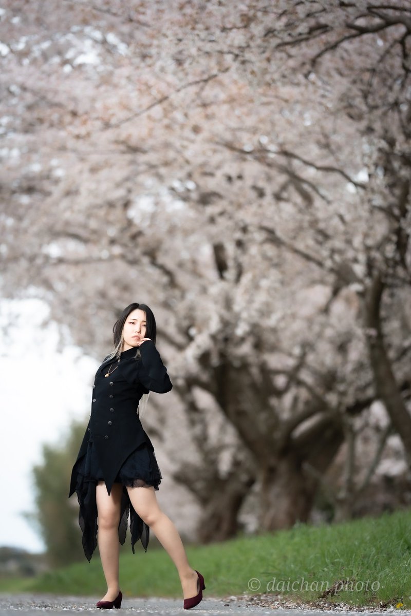 daichann_99_'s tweet photo. 曇り空の桜☁🌸

model：＠y_Celicat7
                 @celigekko

#ポートレート #日中シンクロ #被写体募集中  #α9iii   #ニッシンデジタル #LS65C #GODOX #AD100PRO https://t.co/kPzpPCoh9w