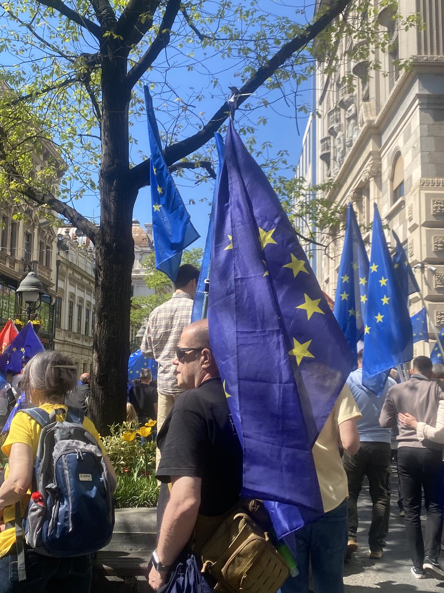 vesnajas's tweet photo. Divan dan! 🇪🇺🇪🇺🇪🇺 https://t.co/Jhmu59D7Fg