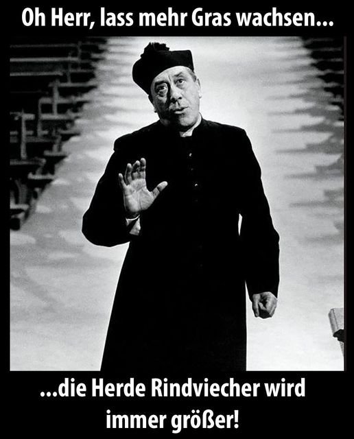 O-Thomas ,Bärliner 🐻 @tomy01bln.bsky.social tweet media