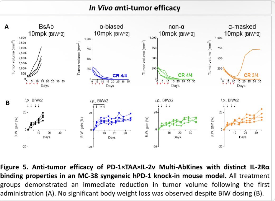 Luciano_Han tweet media