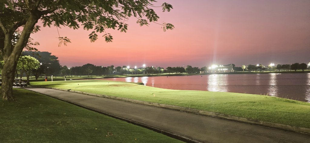 Japandy 😎 GOLF/TRAVEL/GAMBA/NETFLIX 👽 tweet media