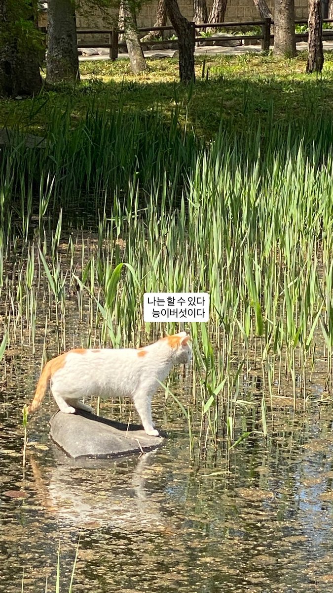 박정은🕯️ tweet media