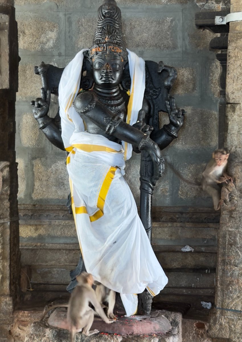 swamin400's tweet image. His Master’s Dwarapalaka : Tiruchengode Ardhanareeswarar temple #IncredibleIndia