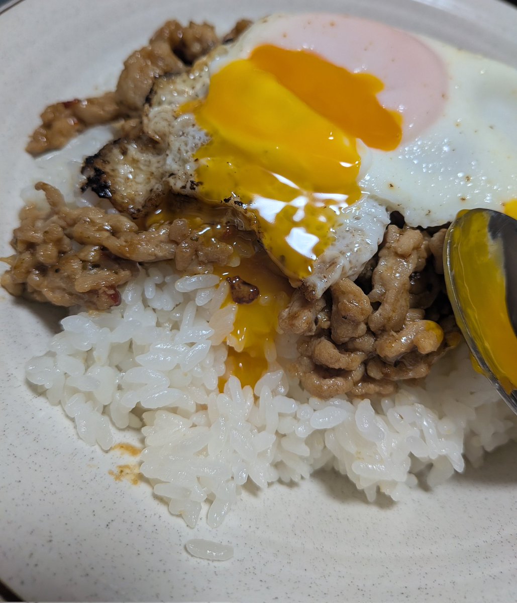 社不ちゃん。(りんご) tweet media