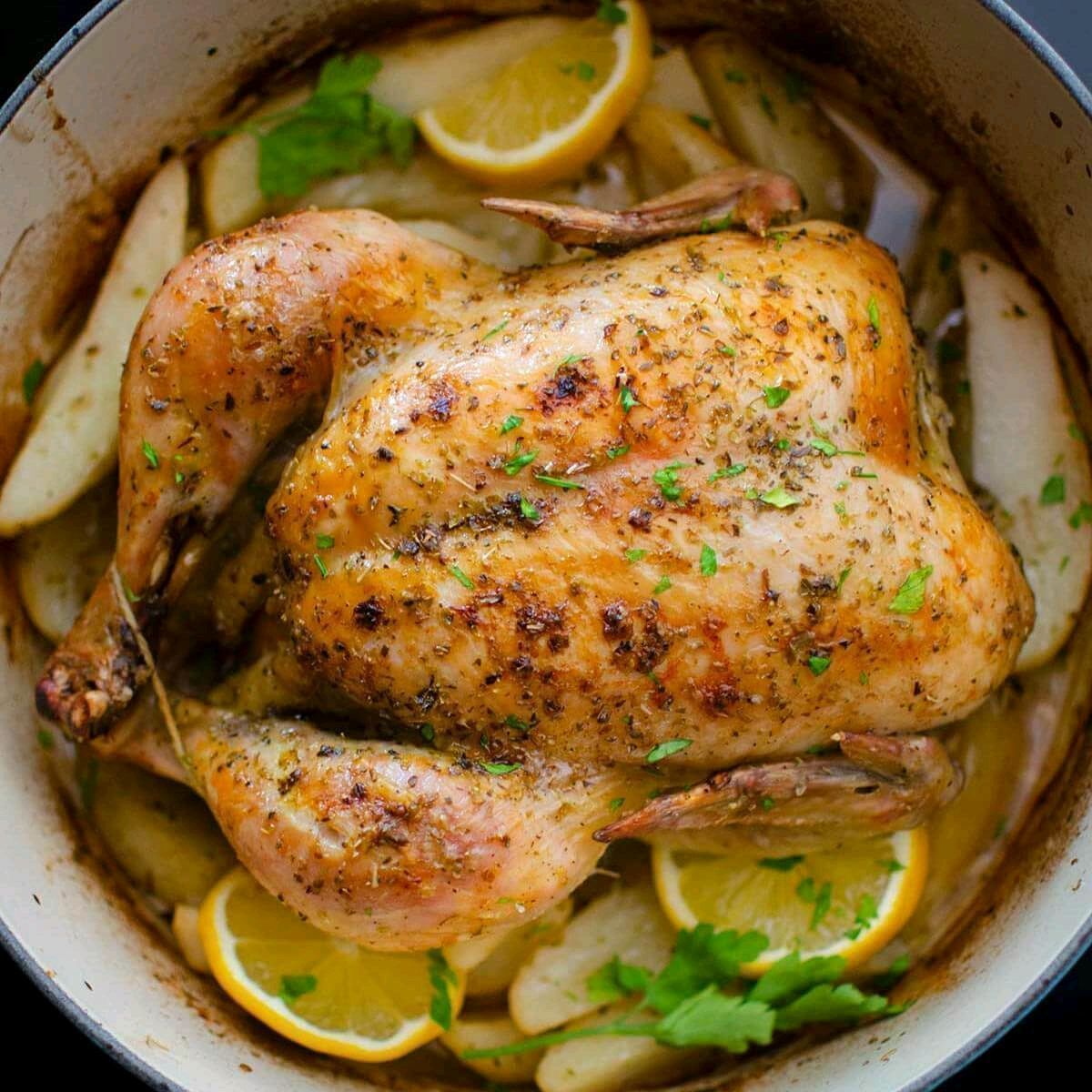 Living_Lou's tweet image. This Dutch oven whole chicken is roasted with Greek lemon potatoes and herbs!

Check out the recipe here and make this easy one-pot recipe.

RECIPE: buff.ly/yrzqlpH
#deliciousfood #chicken