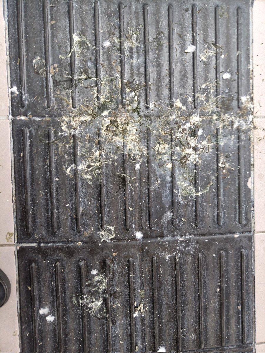 Theo H. B. Schoenmakers tweet media