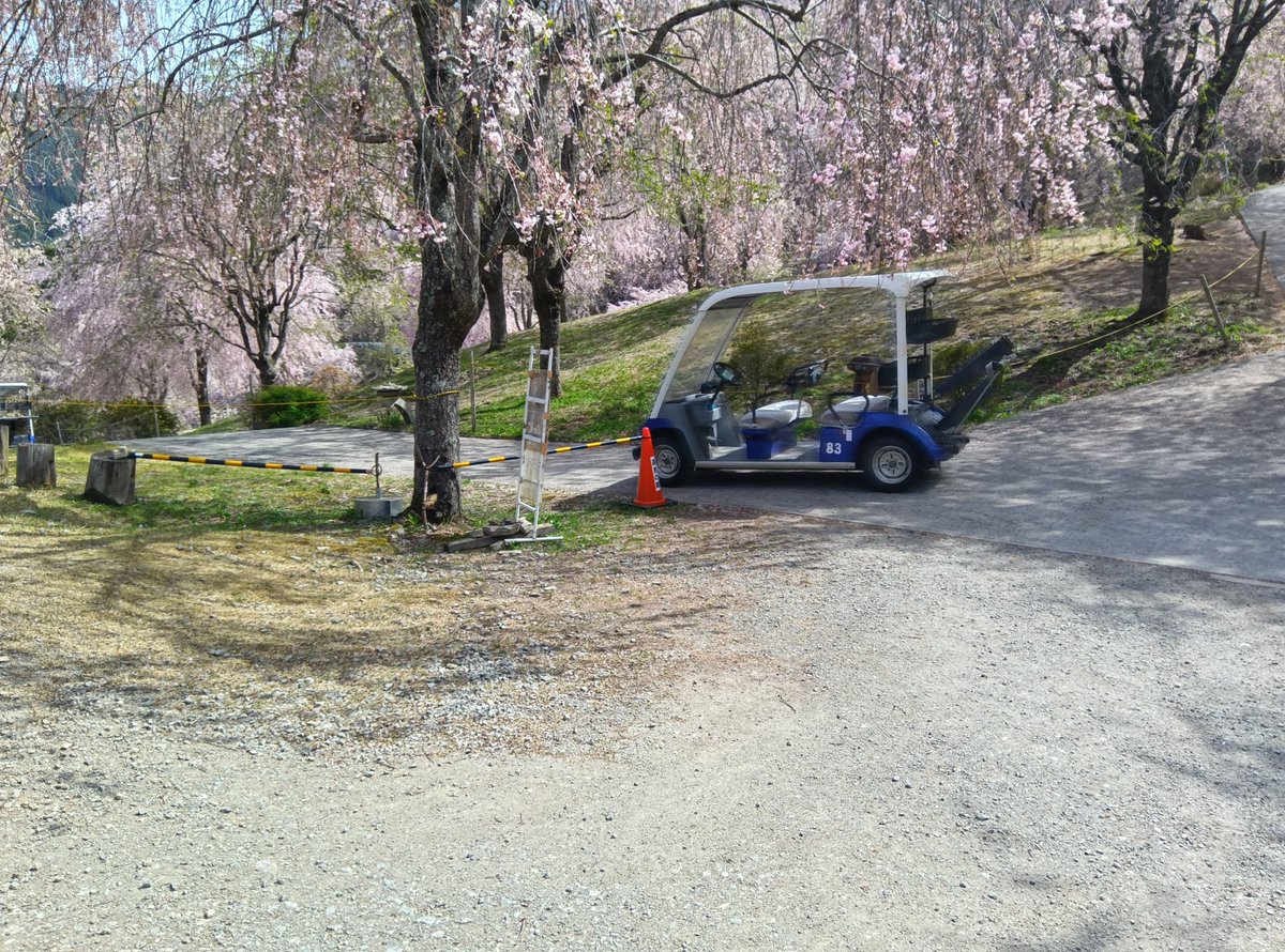 jto24294's tweet photo. 奈良の高見の郷に行ってきました。ピークは過ぎたみたいですが、少し緑の混じったしだれ桜とても綺麗で良かったです。自動運転カートという最先端の技術でどんぶらこどんぶらことド運んでもらえました。あんな上がり下り激しい崖の横で自動運転すごい！
来年はピークのときいきたいっすね。 https://t.co/bAIdMoUNTg