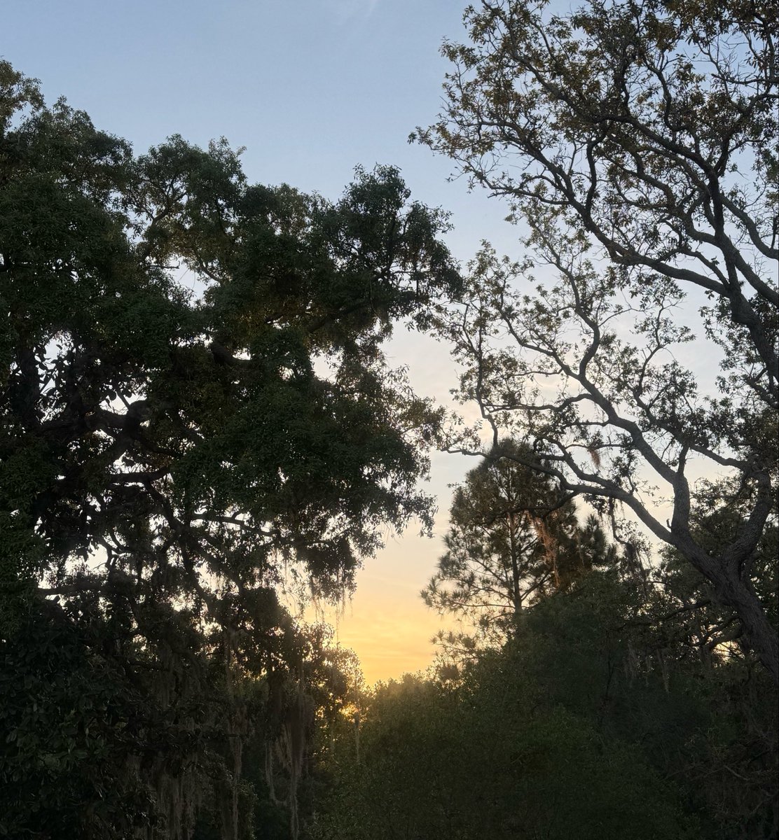 🇺🇸 Dave 🇺🇸 tweet media