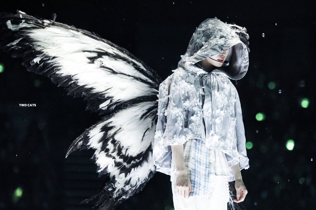 𝑻𝑾𝑶 𝑪𝑨𝑻𝑺 tweet media