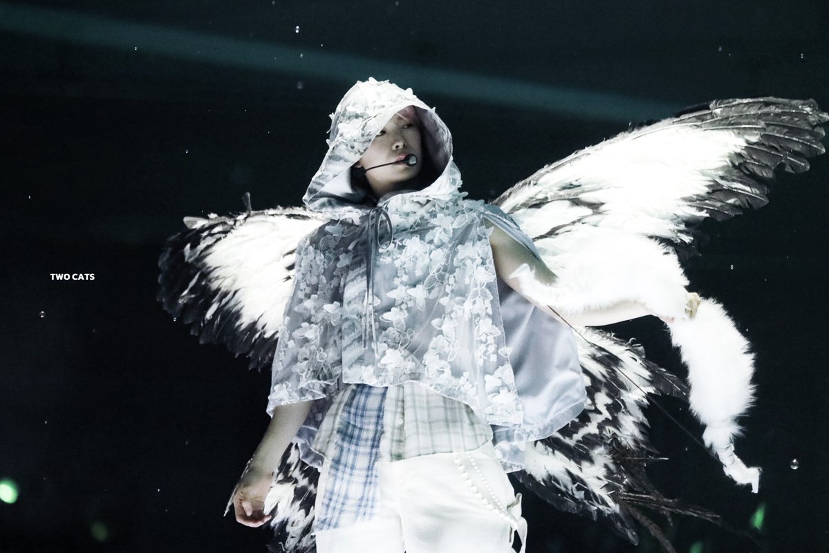 𝑻𝑾𝑶 𝑪𝑨𝑻𝑺 tweet media