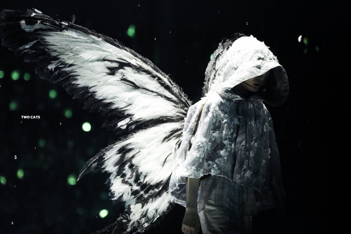 𝑻𝑾𝑶 𝑪𝑨𝑻𝑺 tweet media