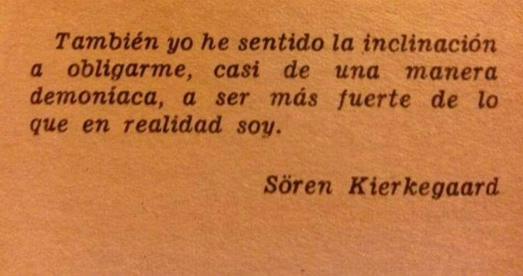 Mente Estoico tweet media
