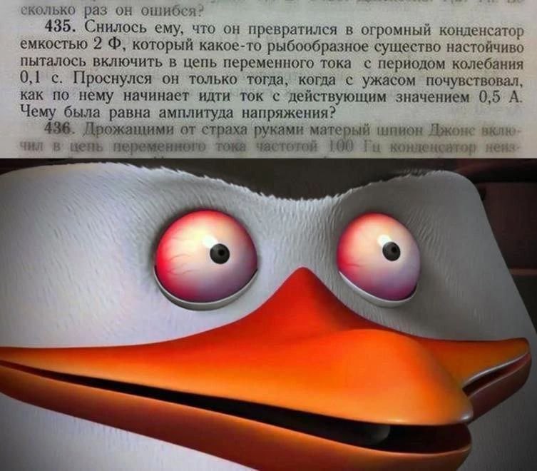 Евосиф tweet media