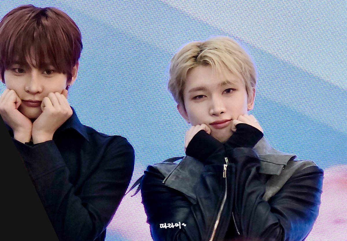 nongwibi's tweet photo. 너무너무너무 귀여웡...... https://t.co/vRLsSEJ3PS
