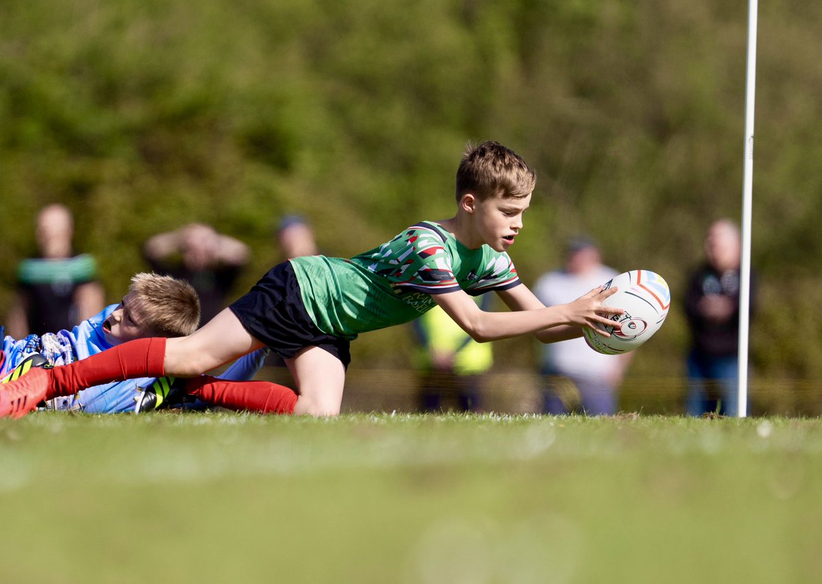 The Tigers Challenge tweet media