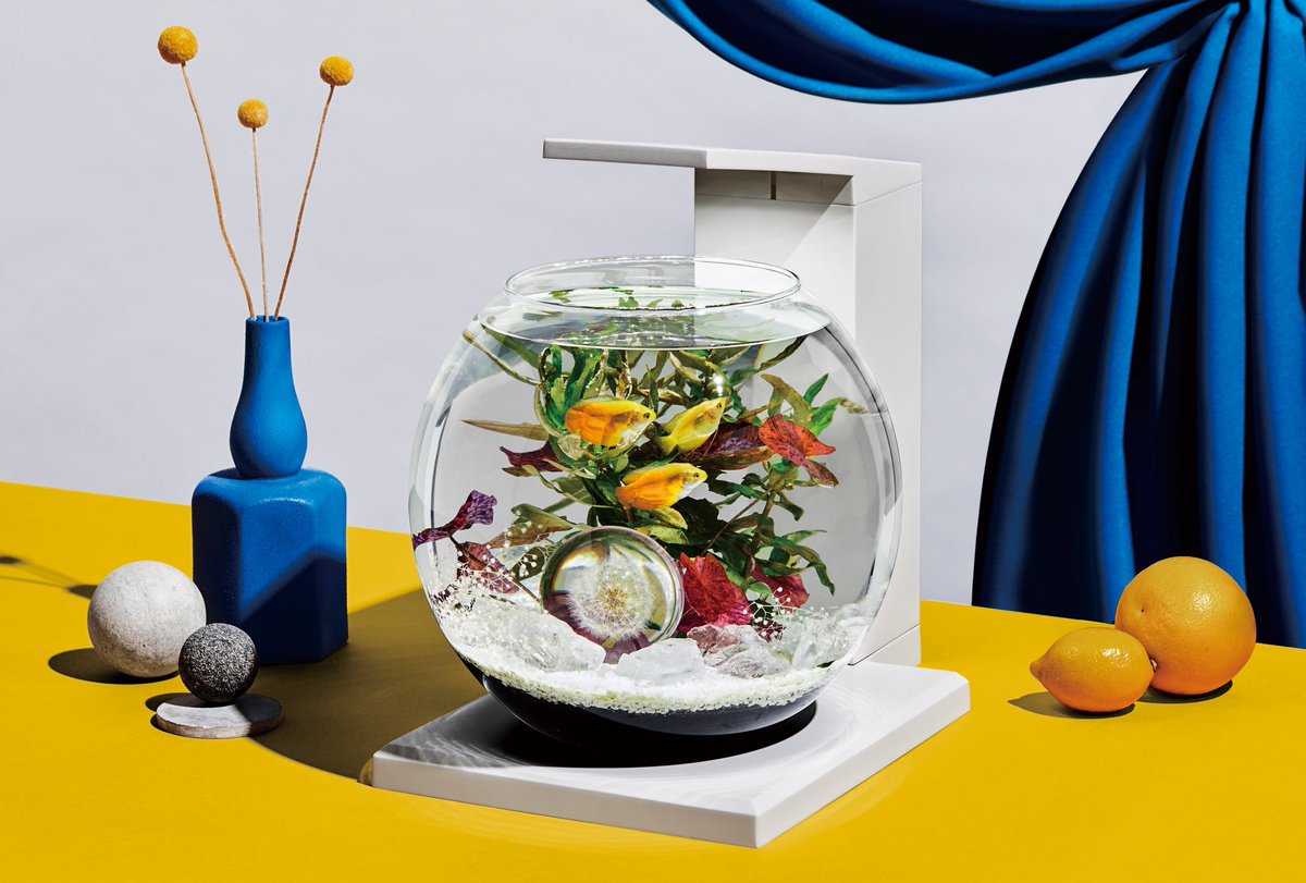 kato norihiro tweet media