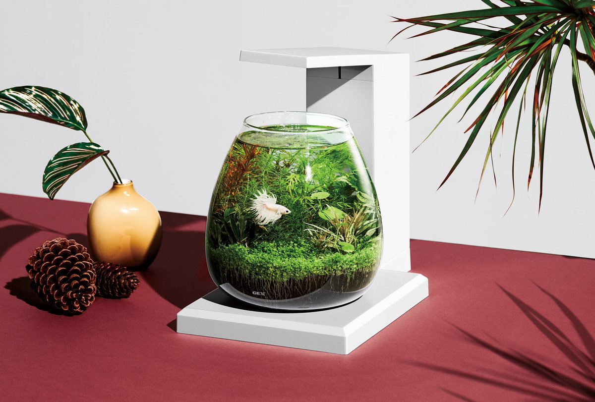 kato norihiro tweet media